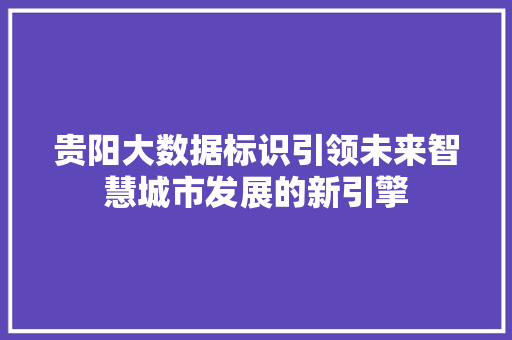 贵阳大数据标识引领未来智慧城市发展的新引擎