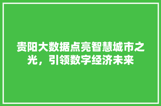 贵阳大数据点亮智慧城市之光，引领数字经济未来