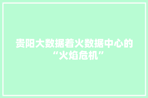 贵阳大数据着火数据中心的“火焰危机” 贵阳大数据着火数据中心的“火焰危机”