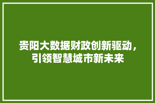 贵阳大数据财政创新驱动,引领智慧城市新未来 贵阳大数据财政创新驱动,引领智慧城市新未来