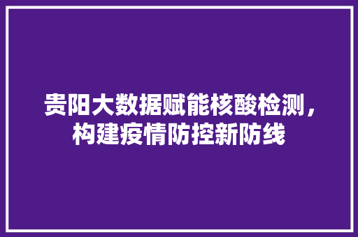 贵阳大数据赋能核酸检测,构建疫情防控新防线 贵阳大数据赋能核酸检测,构建疫情防控新防线