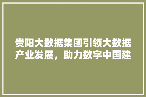 贵阳大数据集团引领大数据产业发展,助力数字中国建设 贵阳大数据集团引领大数据产业发展,助力数字中国建设