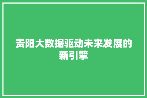贵阳大数据驱动未来发展的新引擎