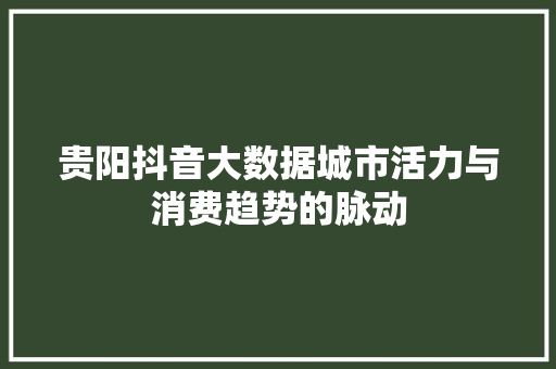 贵阳抖音大数据城市活力与消费趋势的脉动