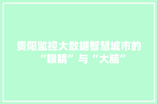 贵阳监控大数据智慧城市的“眼睛”与“大脑”