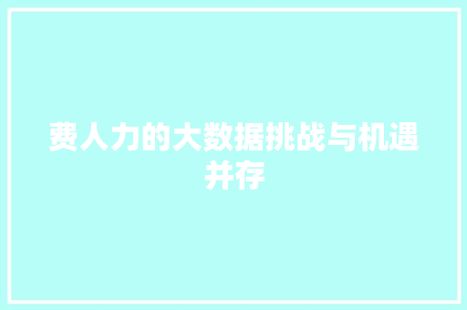 费人力的大数据挑战与机遇并存