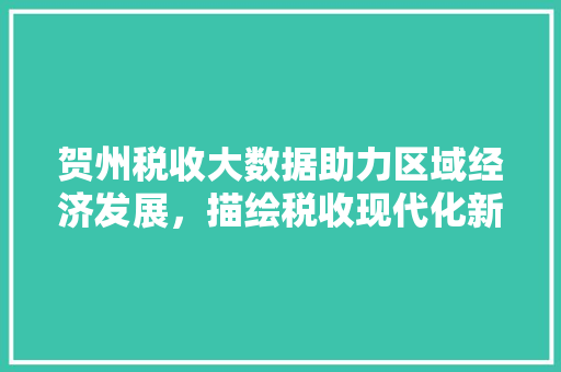 贺州税收大数据助力区域经济发展，描绘税收现代化新篇章