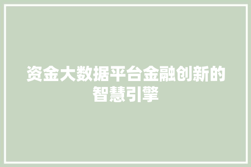 资金大数据平台金融创新的智慧引擎