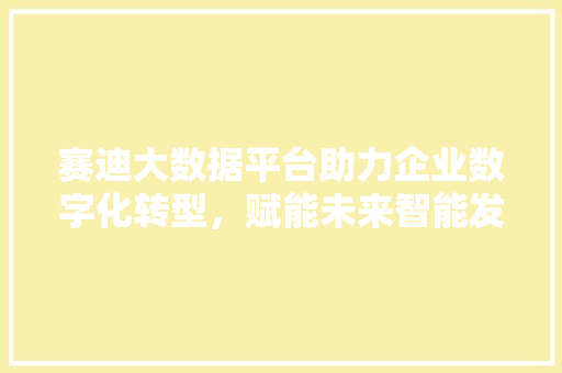 赛迪大数据平台助力企业数字化转型，赋能未来智能发展