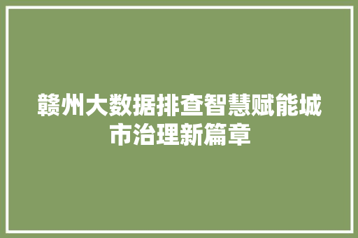 赣州大数据排查智慧赋能城市治理新篇章