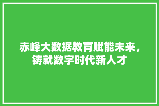 赤峰大数据教育赋能未来，铸就数字时代新人才