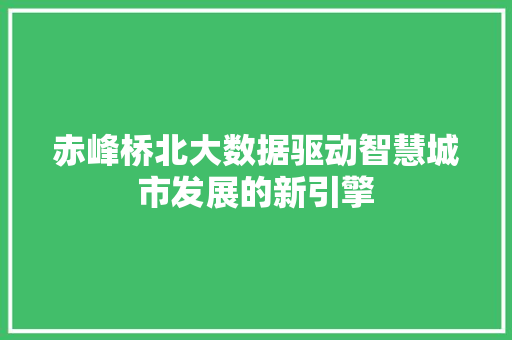 赤峰桥北大数据驱动智慧城市发展的新引擎
