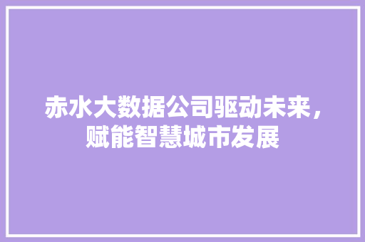 赤水大数据公司驱动未来，赋能智慧城市发展