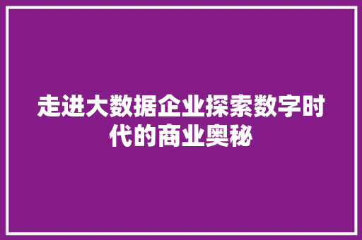 走进大数据企业探索数字时代的商业奥秘