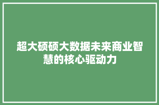 超大硕硕大数据未来商业智慧的核心驱动力