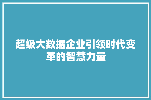 超级大数据企业引领时代变革的智慧力量