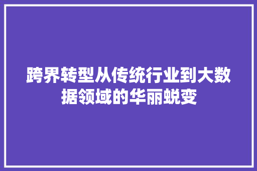 跨界转型从传统行业到大数据领域的华丽蜕变
