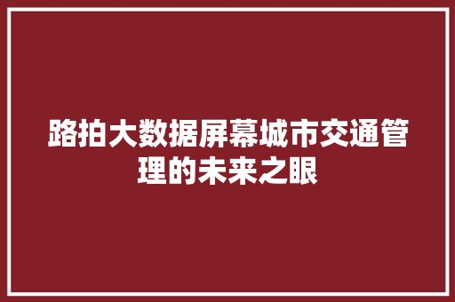 路拍大数据屏幕城市交通管理的未来之眼