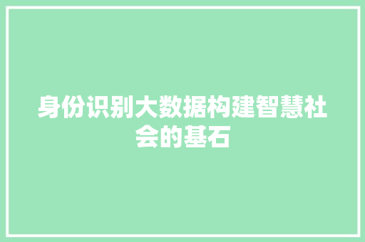 身份识别大数据构建智慧社会的基石