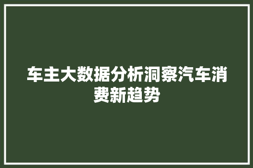 车主大数据分析洞察汽车消费新趋势