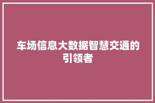 车场信息大数据智慧交通的引领者
