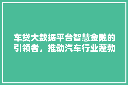 车贷大数据平台智慧金融的引领者，推动汽车行业蓬勃发展