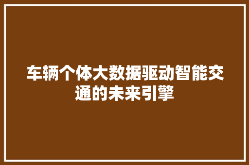 车辆个体大数据驱动智能交通的未来引擎