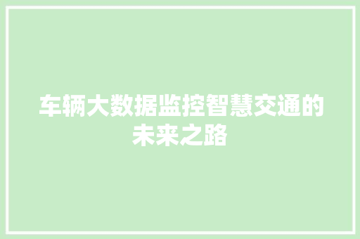 车辆大数据监控智慧交通的未来之路