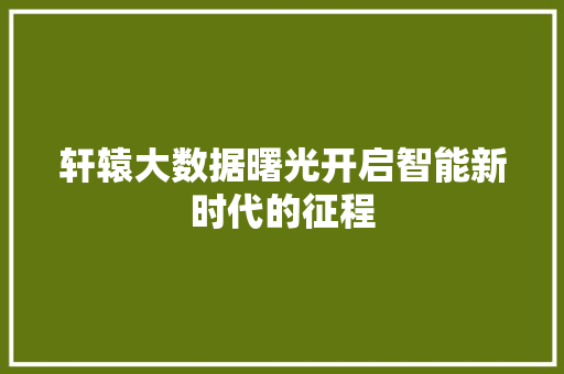轩辕大数据曙光开启智能新时代的征程