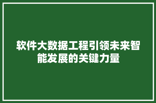 软件大数据工程引领未来智能发展的关键力量