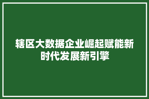 辖区大数据企业崛起赋能新时代发展新引擎 辖区大数据企业崛起赋能新时代发展新引擎