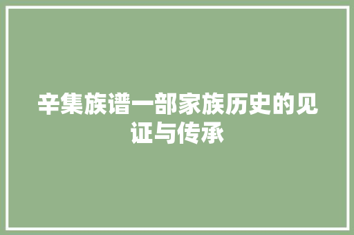 辛集族谱一部家族历史的见证与传承 辛集族谱一部家族历史的见证与传承