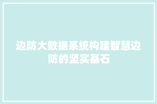 边防大数据系统构建智慧边防的坚实基石