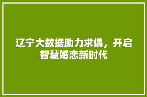 辽宁大数据助力求偶，开启智慧婚恋新时代