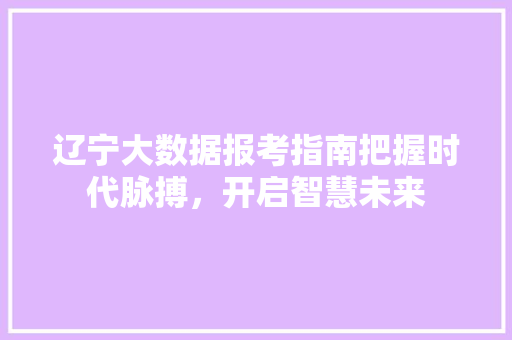 辽宁大数据报考指南把握时代脉搏，开启智慧未来