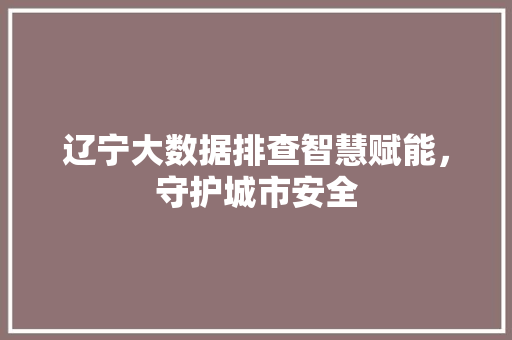 辽宁大数据排查智慧赋能，守护城市安全