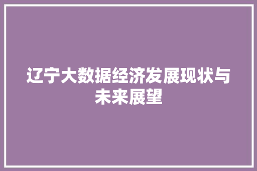 辽宁大数据经济发展现状与未来展望
