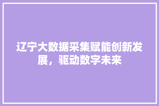 辽宁大数据采集赋能创新发展,驱动数字未来 辽宁大数据采集赋能创新发展,驱动数字未来