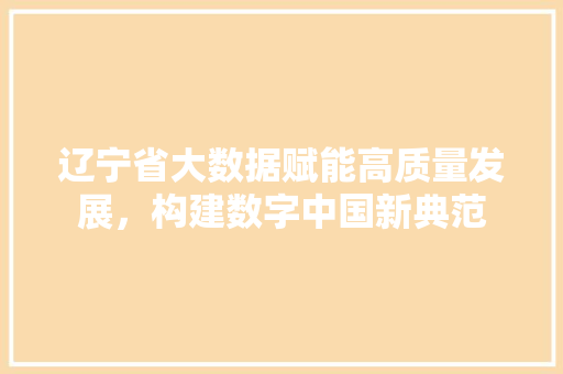 辽宁省大数据赋能高质量发展，构建数字中国新典范