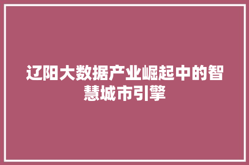辽阳大数据产业崛起中的智慧城市引擎