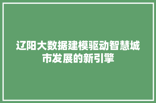 辽阳大数据建模驱动智慧城市发展的新引擎