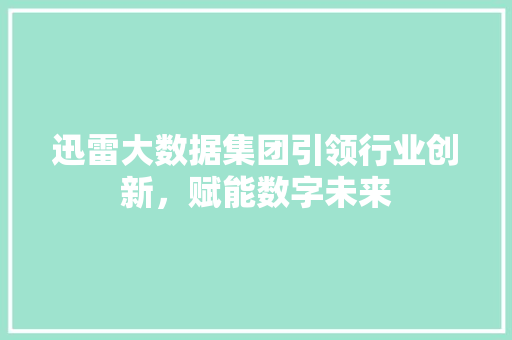 迅雷大数据集团引领行业创新，赋能数字未来
