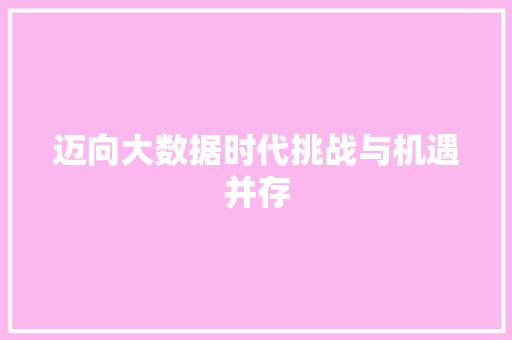 迈向大数据时代挑战与机遇并存 迈向大数据时代挑战与机遇并存