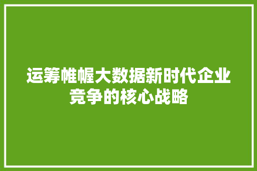 运筹帷幄大数据新时代企业竞争的核心战略
