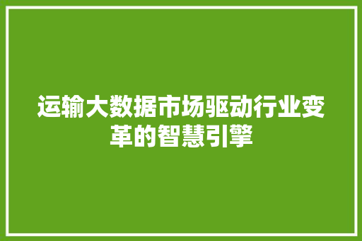 运输大数据市场驱动行业变革的智慧引擎