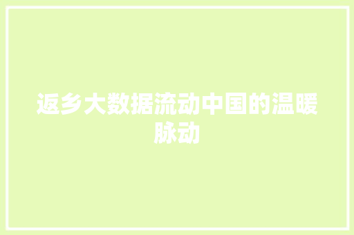 返乡大数据流动中国的温暖脉动