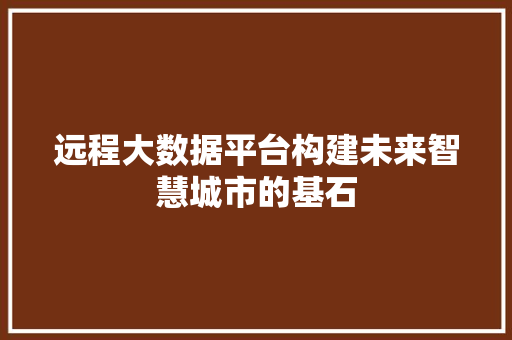 远程大数据平台构建未来智慧城市的基石
