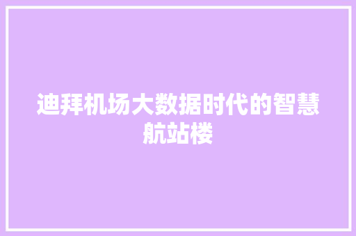 迪拜机场大数据时代的智慧航站楼