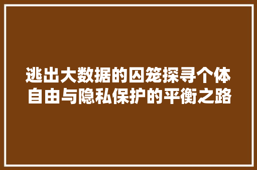 逃出大数据的囚笼探寻个体自由与隐私保护的平衡之路 逃出大数据的囚笼探寻个体自由与隐私保护的平衡之路