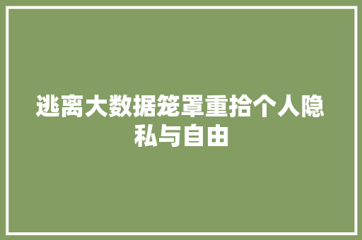 逃离大数据笼罩重拾个人隐私与自由 逃离大数据笼罩重拾个人隐私与自由